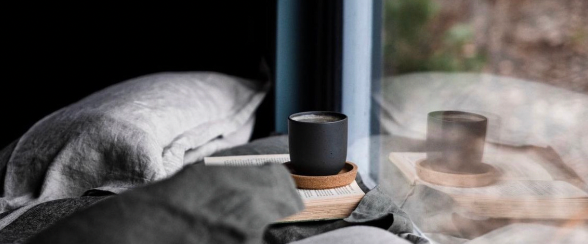 FLAX LINEN EUROPEAN PILLOWCASE PAIR